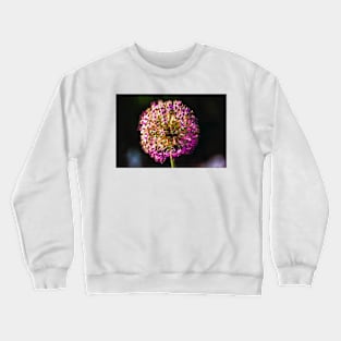 Close-up of  Allium Flower 6 Crewneck Sweatshirt